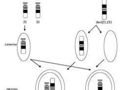 Хромосомные мутации типа транслокаций